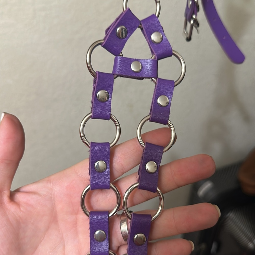 Harness - Picture 3 of 3